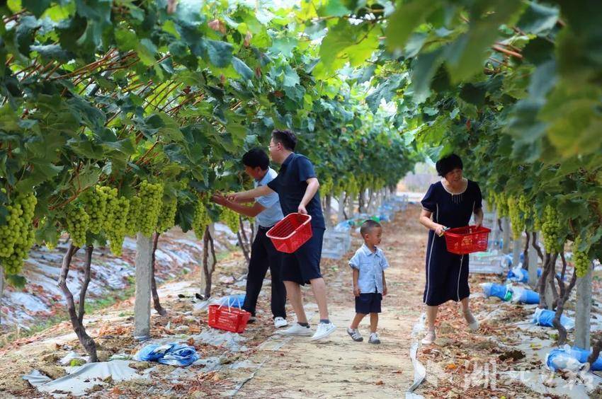 3m平台最新登陆网址